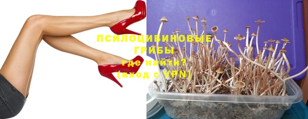 скорость Медвежьегорск