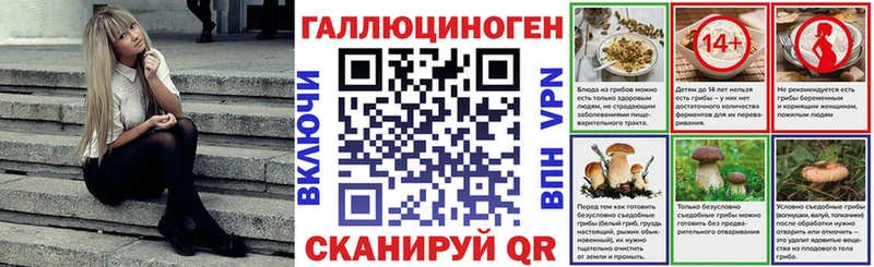 купить  цена  Данков  Псилоцибиновые грибы Psilocybe 