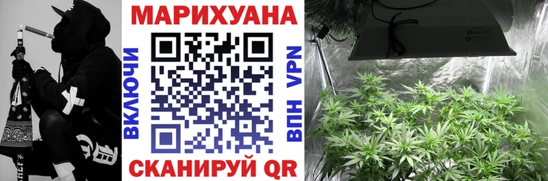 Бошки Шишки White Widow даркнет клад Данков наркотики